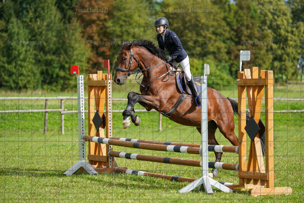 20230917-FAH09217 | Landsberg am Lech, 2023, Kaufbeuren, Kempten, Allgäu, Turnierfotografen Bayern, Fotoagentur Herrmann, Turnierbilder, Reitsport Fotos, Pferdefotograf, Augsburg, Bad Tölz, Dachau, Karlsfeld, Memmingen, Buchloe, Schwabmünchen