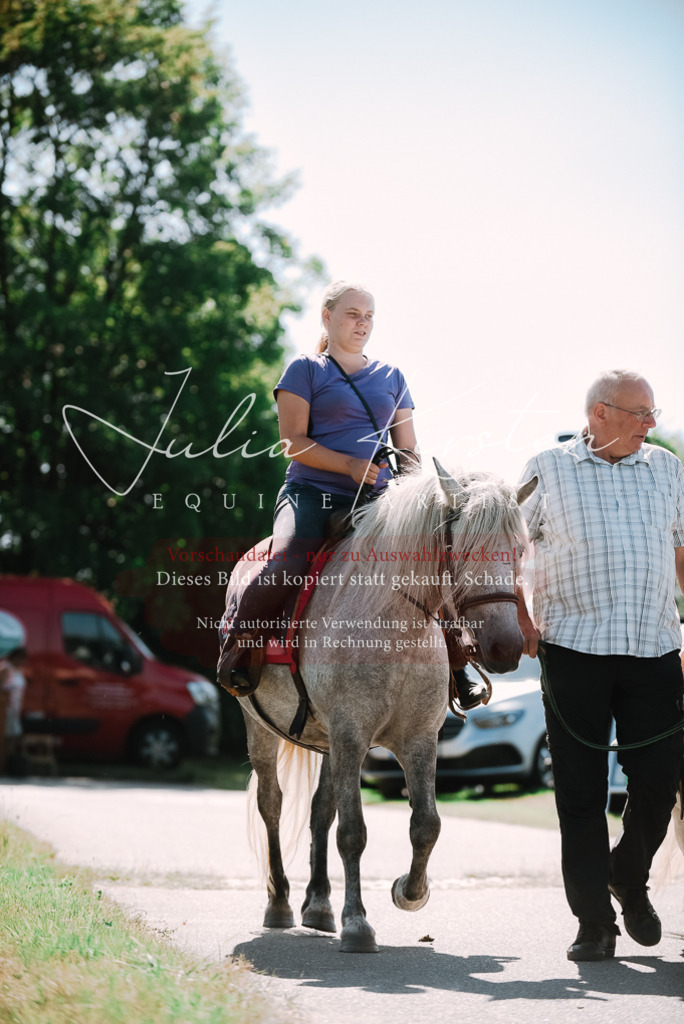 DSC_2692 | Pferde- und Turnierfotografie in Westsachsen. Pferdeportraits, Auftragszeichnungen und intuitive Kunst.