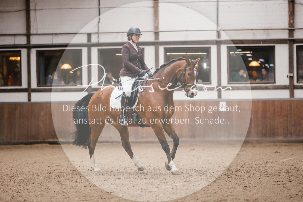 3I6A6897 | Stimmungsvolle Portraits und Reitsportfotografie im Ruhrgebiet und im Münsterland.

Pferdefotografie, Hundefotografie, Tierfotografie, Reportagen, Portraits von Tier und Mensch, Turnierfotografie in Bochum, Recklinghausen, Marl, Haltern am See, Dülmen.. - Realisiert mit Pictrs.com
