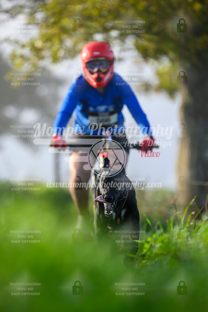 MompixPhotography_20TSB_E3_Bike-143 | PayLife