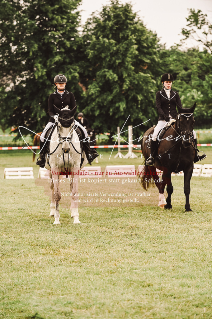 DSC_5027 | Pferde- und Turnierfotografie in Westsachsen. Pferdeportraits, Auftragszeichnungen und intuitive Kunst.
