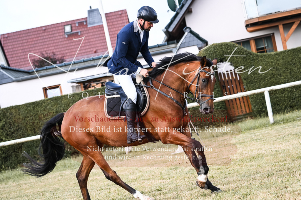 DSC_7664 | Pferde- und Turnierfotografie in Westsachsen. Pferdeportraits, Auftragszeichnungen und intuitive Kunst.