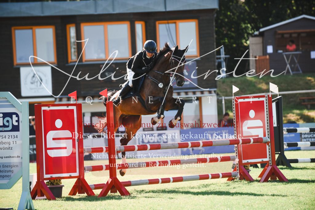DSC_2371 | Pferde- und Turnierfotografie in Westsachsen. Pferdeportraits, Auftragszeichnungen und intuitive Kunst.