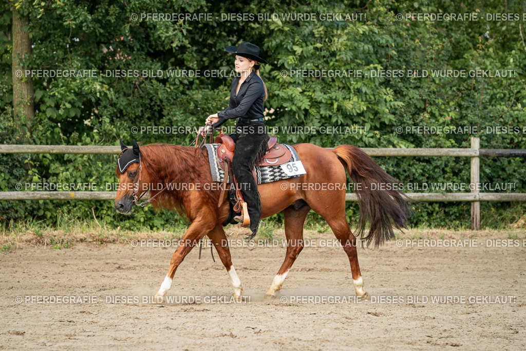 DSC05966 | Pferdegrafie