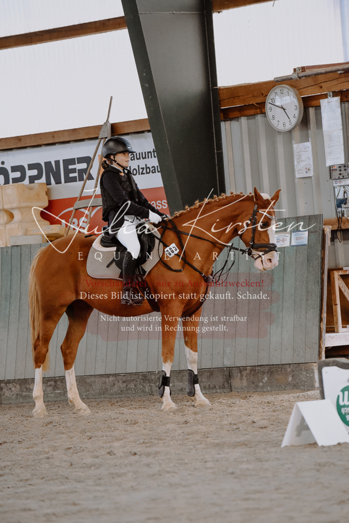 DSC_7465 | Pferde- und Turnierfotografie in Westsachsen. Pferdeportraits, Auftragszeichnungen und intuitive Kunst.