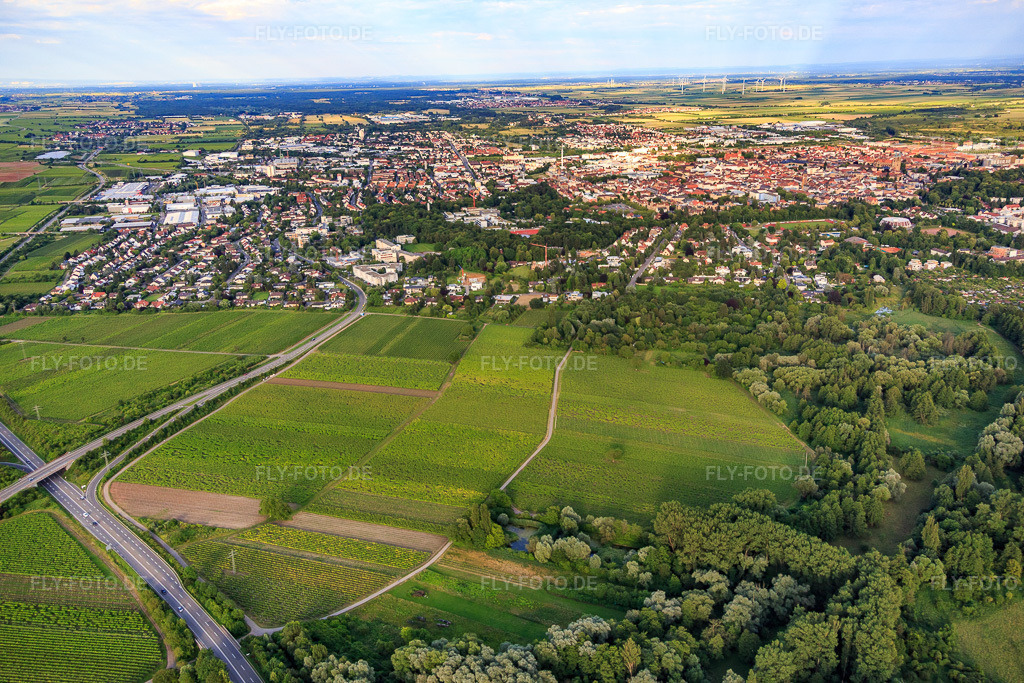 Luftbild: Ortsansicht von Nordosten in Landau in der Pfalz im Bundesland Rheinland-Pfalz in Deutschland. Foto: IMG_090184.jpg vom 26.06.2016 durch Werner Riehm/FLY-FOTO.de