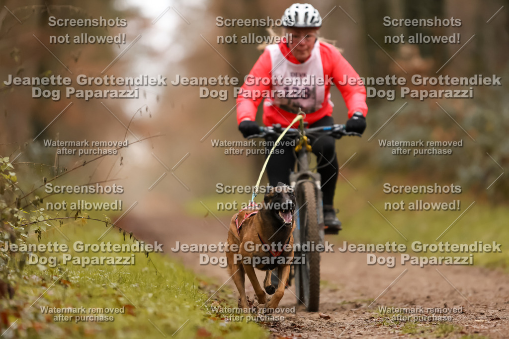 Dog Paparazzi - Speedhunter Mannheim  2025-390 | Dog Paparazzi Jeanette Grottendiek Fotografie & Videografie