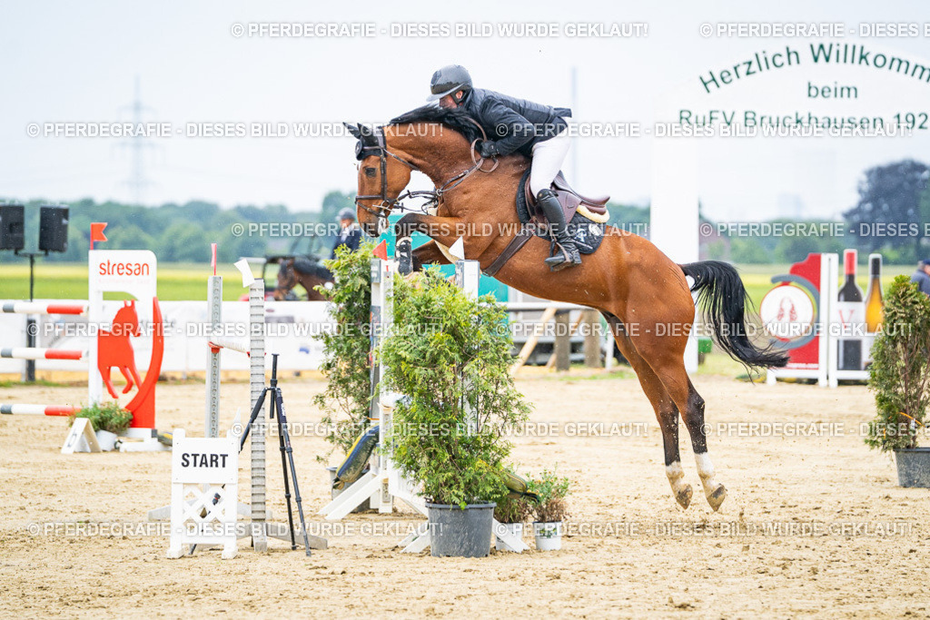 DSC07254 | Pferdegrafie