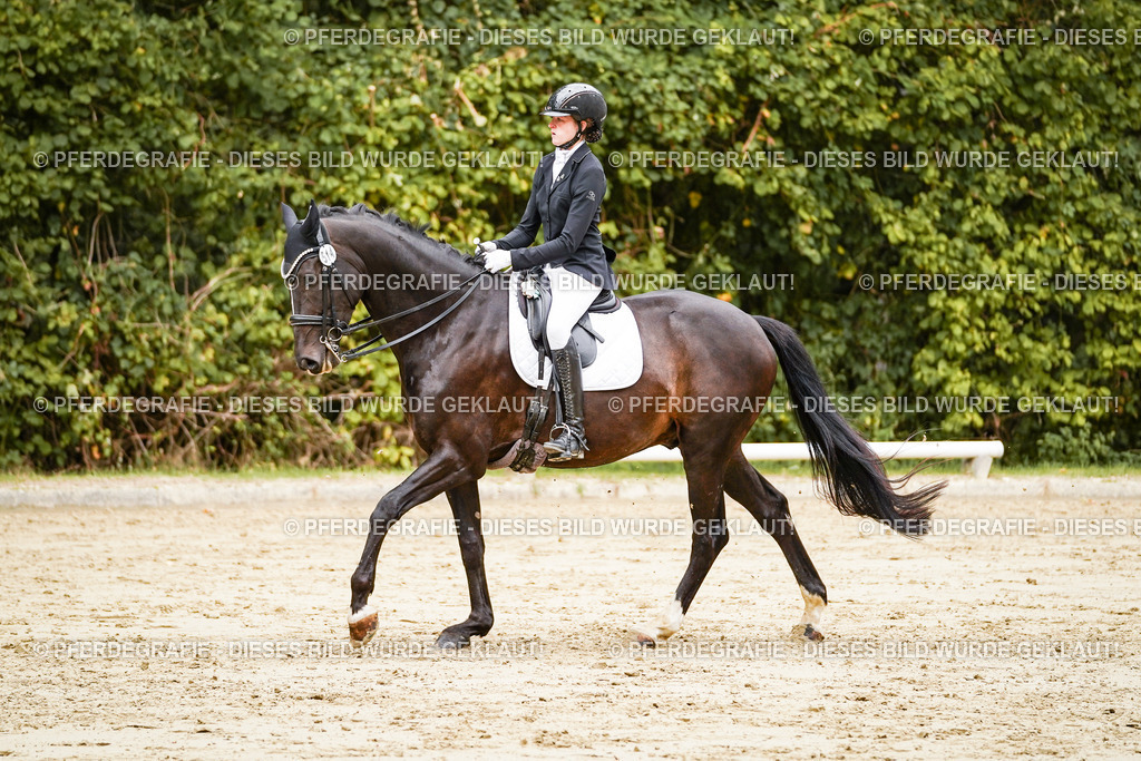 DSC03844 | Pferdegrafie