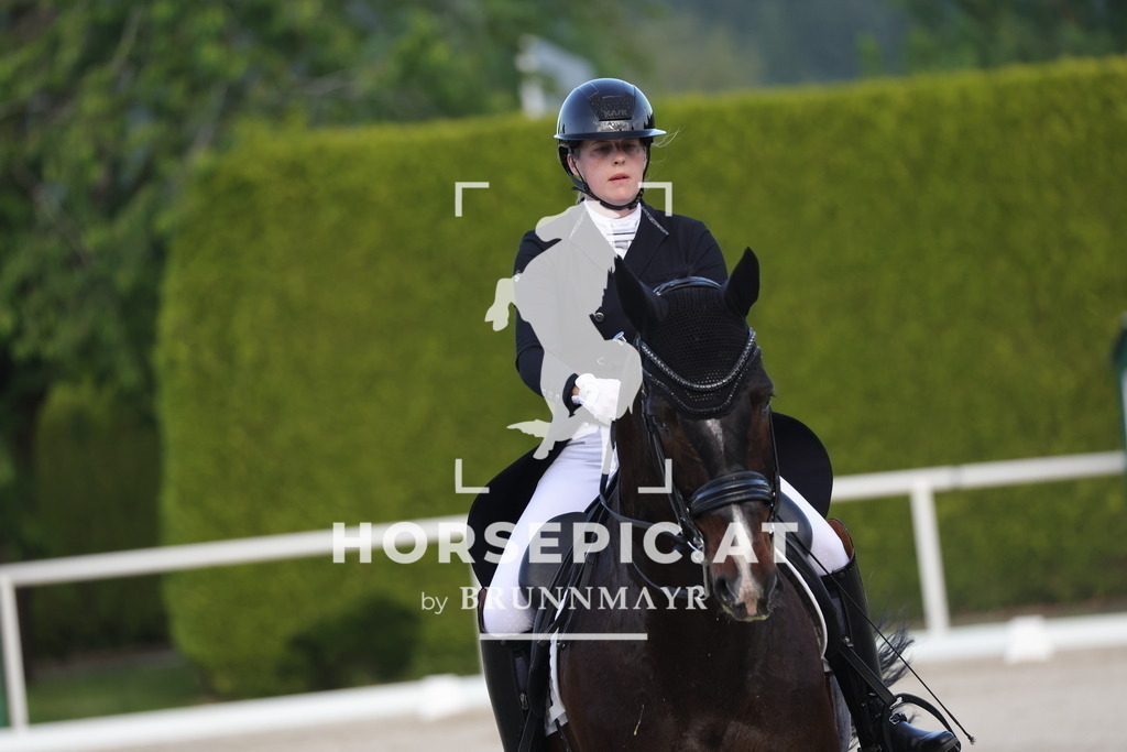 0P6A3729 | Willkommen bei Brunnmayr - Design & Fotografie – Ihrem Spezialisten für Reitturniere und Pferdeveranstaltungen in Oberösterreich, Salzburg und Bayern! Seit über 17 Jahren sind wir leidenschaftlich dabei.