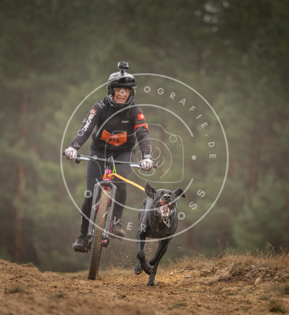 Pfotenfotografie_DV3A2682 | Hundefotografie, Tierfotograf, Pfotenfotografie, Fotoshooting Hund, Hunde Portrait, Hundesport, Hundeportraits, Heideshooting, Hunde, Sportfotograf, Hundefotograf, Turnierhundsport, THS,  - Realisiert mit Pictrs.com