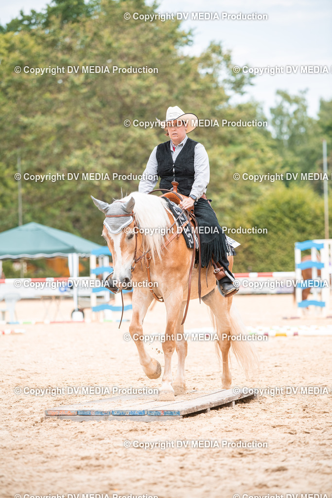 ZS2_8162 | dv-media-shop - Realisiert mit Pictrs.com