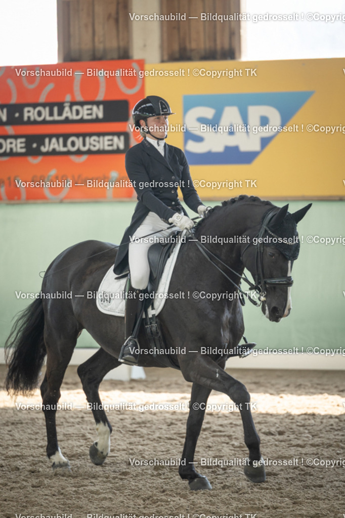 _D5A2090 | Emotionale Pferde- & People-Fotografie rund um Heidelberg, Leimen & Umgebung. Natürliche Fotos von Pferd, Mensch & Familie. Jetzt Termin sichern!