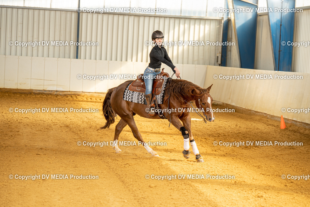 MIT00822 | dv-media-shop - Realisiert mit Pictrs.com