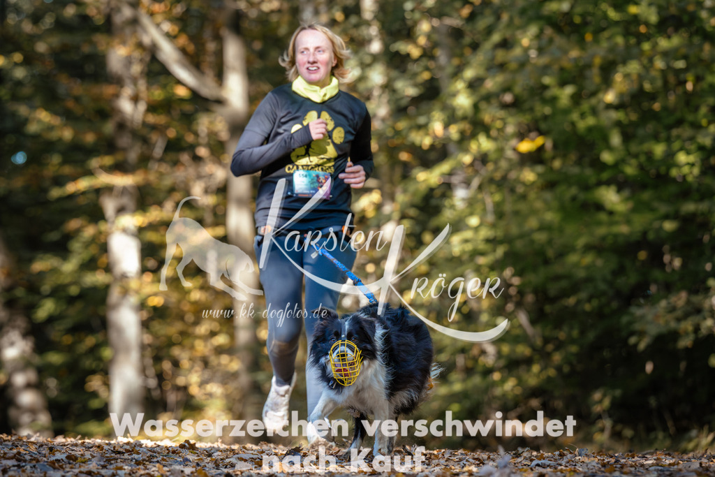 1137_ZZ92845 | kk-dogfotos