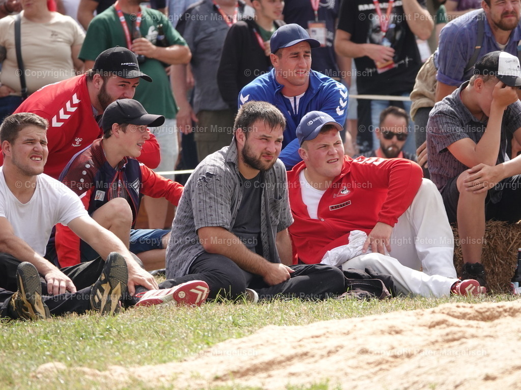 DSC05065 | Schwingen - Realisiert mit Pictrs.com