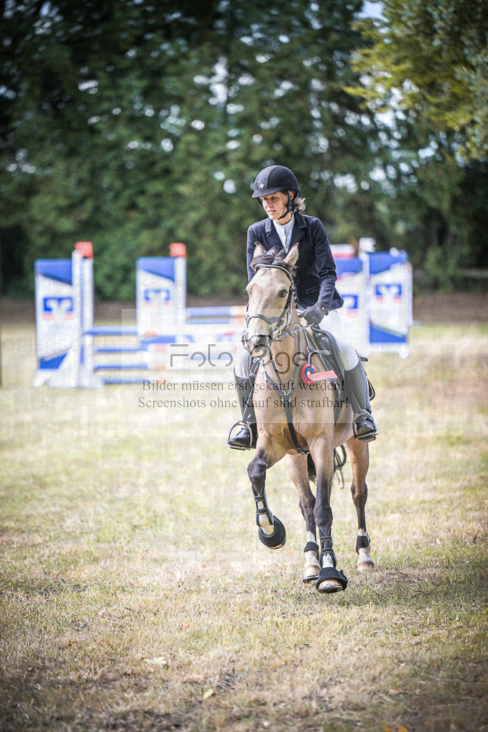 DOS_0134 | Entdecke hochwertige Reitturnierfotos von Foto Oger. Professionell, emotional und authentisch – jetzt Lieblingsmomente im Shop bestellen.Deutschlandweite Turnierfotografie. - Realisiert mit Pictrs.com