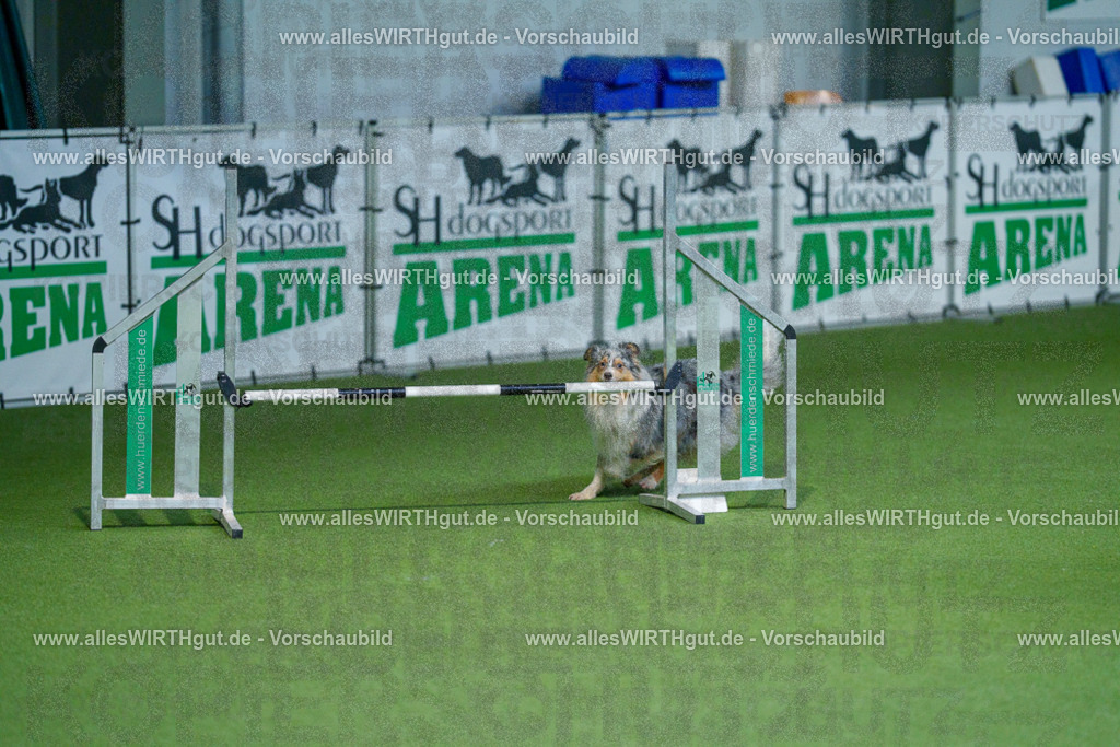 @allesWIRTHgut_Tierfotografie - www.allesWIRTHgut.de - 2604251000-7R509432 | Professionelle Tierfotografie in Mönchengladbach von Daniel Wirth (allesWIRTHgut). Liebevolle & natürliche Bilder von Hunden & Katzen für unvergessliche Erinnerungen.