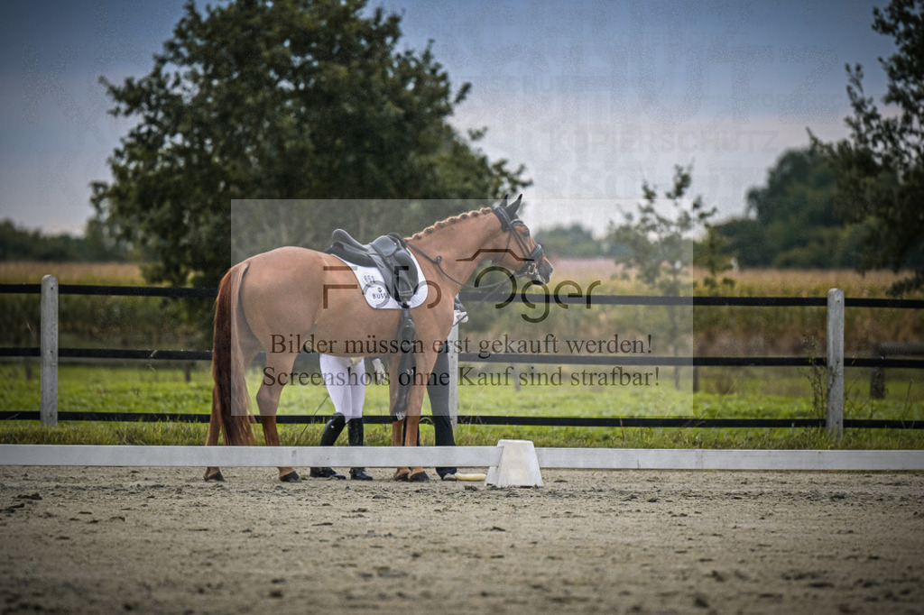 DOS_1586 | Entdecke hochwertige Reitturnierfotos von Foto Oger. Professionell, emotional und authentisch – jetzt Lieblingsmomente im Shop bestellen.Deutschlandweite Turnierfotografie. - Realisiert mit Pictrs.com