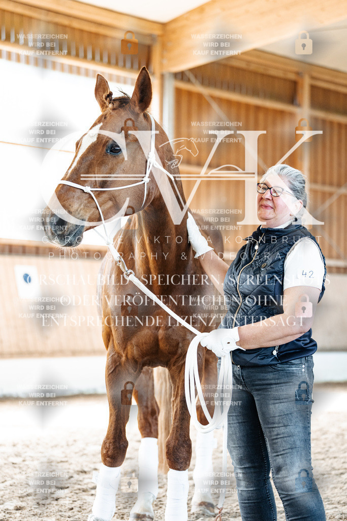 CK906193 | Turnierfotografie Pferdefotografie Trier Rheinland-Pfalz Pferdesport Reitsport Tierfotografie Sportfotografie Pferdevideo Pferdevideografie Equestrianvideography equestrianphotography  - Realisiert mit Pictrs.com