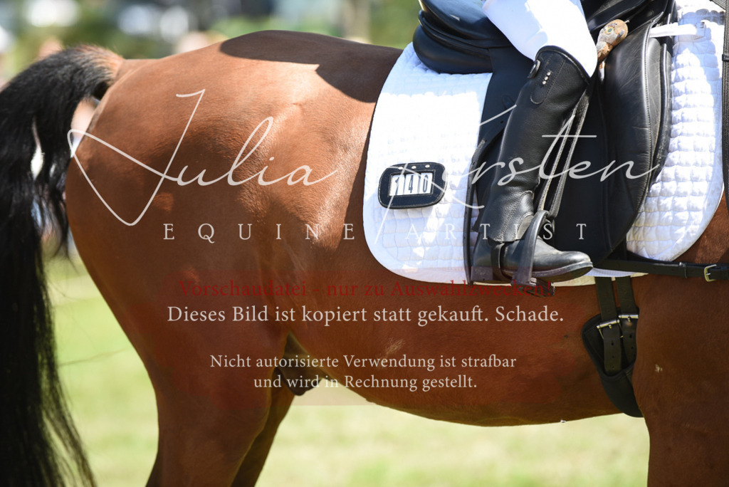 DSC_9771 | Pferde- und Turnierfotografie in Westsachsen. Pferdeportraits, Auftragszeichnungen und intuitive Kunst.