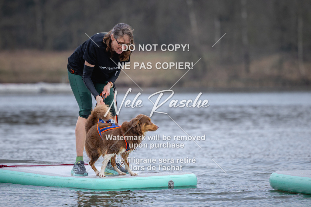 nelerasche_Hulsbeek_Sa1600-1700_585 | nelerasche