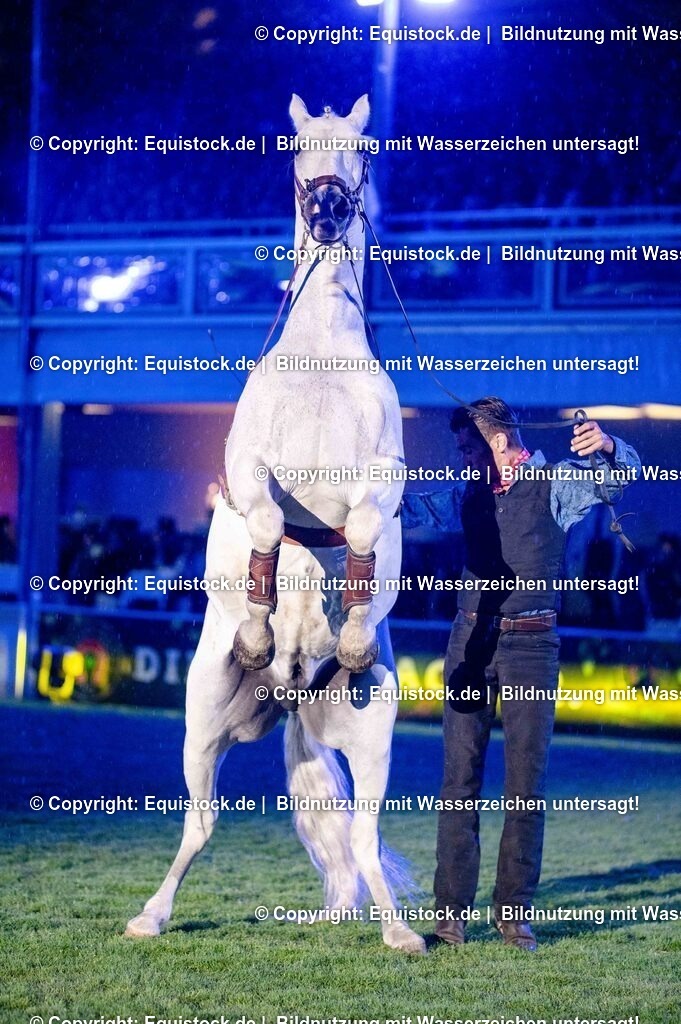 20250606_Lange-Pferdenacht_1123 | Foto: Thomas Hartig