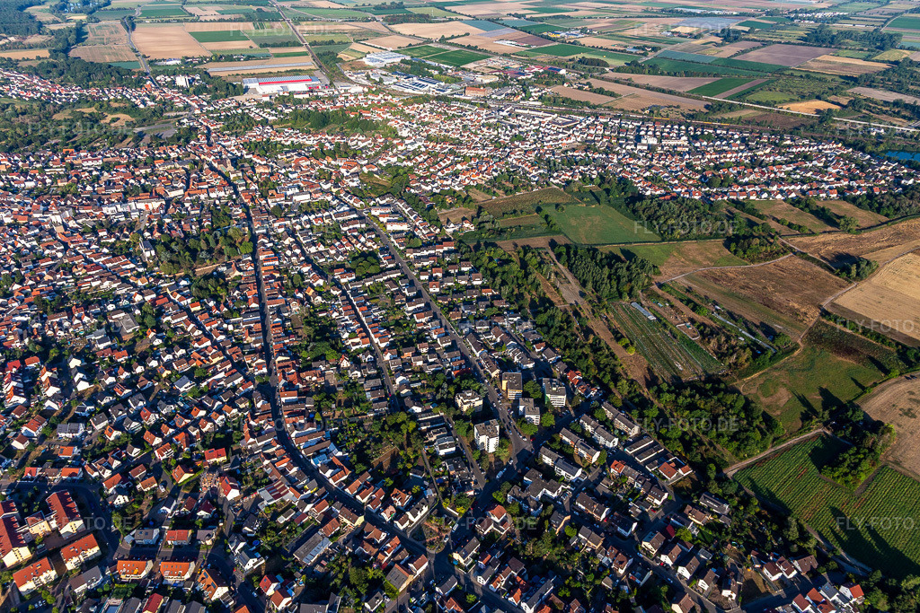 Luftbild:  in Schifferstadt im Bundesland Rheinland-Pfalz in Deutschland. – Foto: IMG_133912.jpg vom 21.08.2022 durch Werner Riehm/FLY-FOTO.de – Auflösung des Originals: 5472 x 3648 px – Stadtverwaltung Schifferstadt