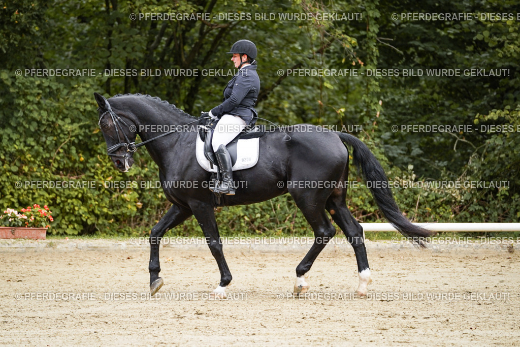 DSC08859 | Pferdegrafie