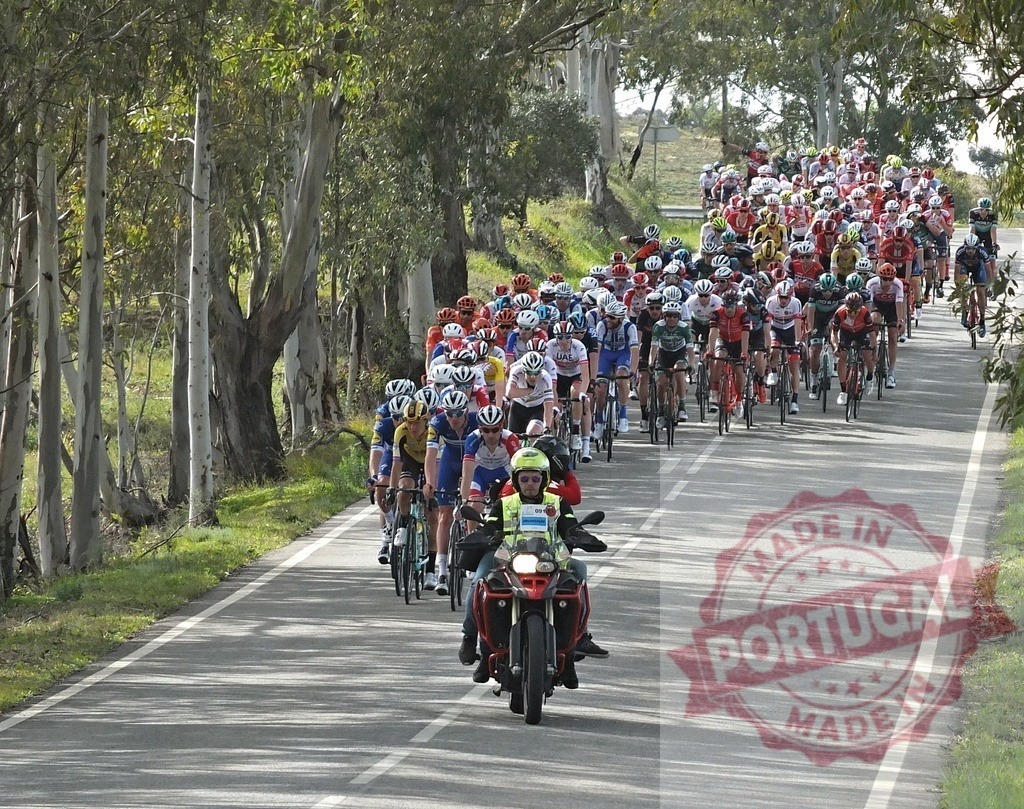Cycling peloton competing in a road race on an uphill climb | Peloton of cyclists competing during a professional road bicycle race on a winding road - Realized with Pictrs.com