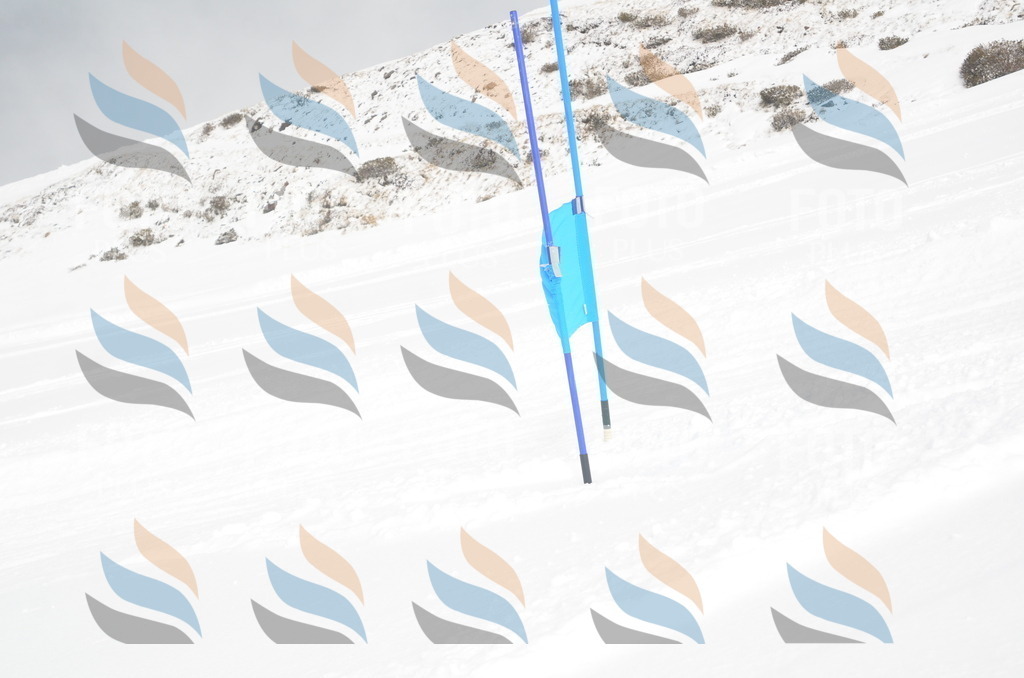 A5661 | holidayphoto