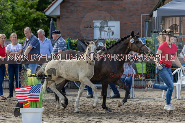 _MG_0001a (19) | mandyhollmannphotographie