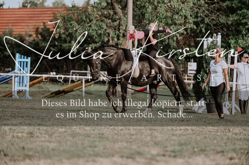 DSC_0011 | Pferde- und Turnierfotografie in Westsachsen. Pferdeportraits, Auftragszeichnungen und intuitive Kunst.