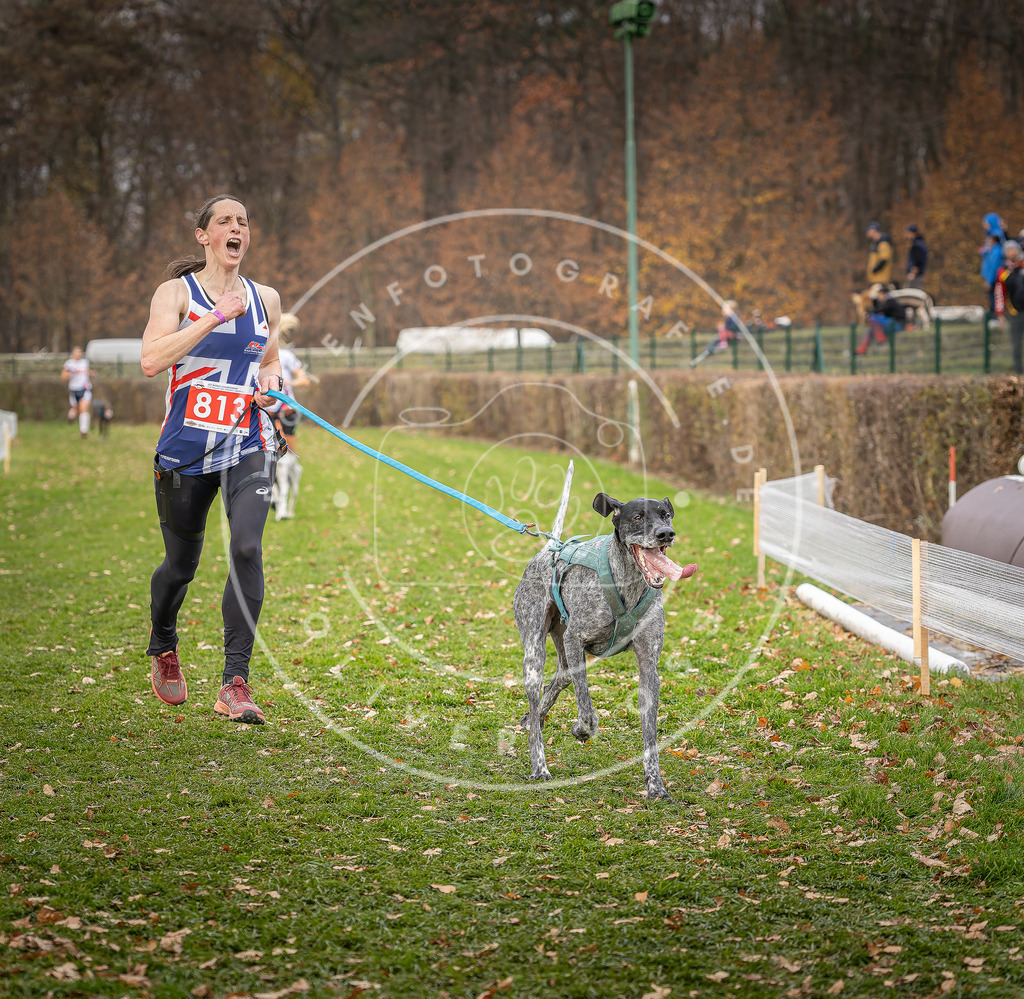 CaniXpix_DV3A6243 | Hundefotografie, Tierfotograf, Pfotenfotografie, Fotoshooting Hund, Hunde Portrait, Hundesport, Hundeportraits, Heideshooting, Hunde, Sportfotograf, Hundefotograf, Turnierhundsport, THS,  - Realisiert mit Pictrs.com