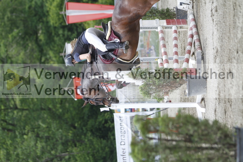 _MG_5286 | equestrian-live-com