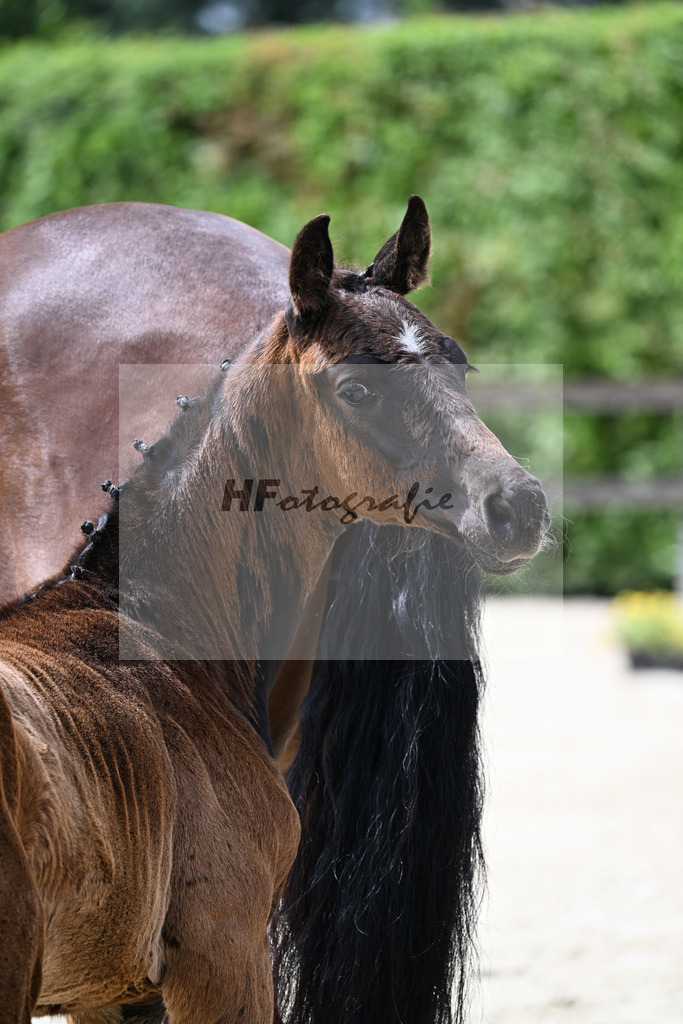 Kat-Nr. 4 Bonhoeffer x Danone_Zweckl_25240220 | hf-fotografie - Realisiert mit Pictrs.com
