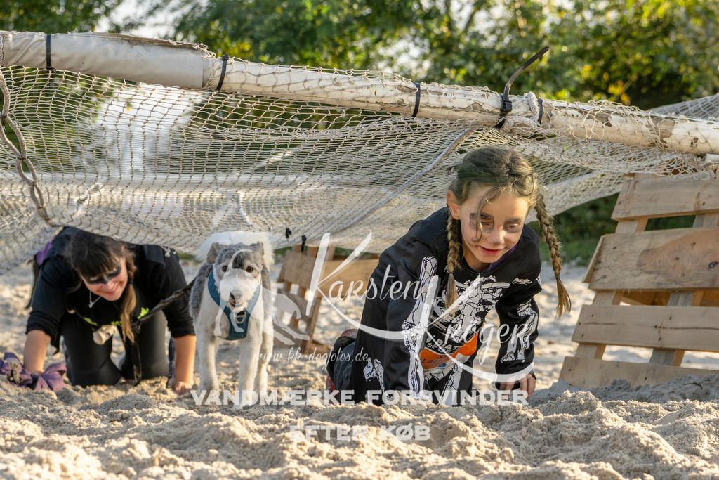 1647_ZZ99411 | kk-dogfotos
