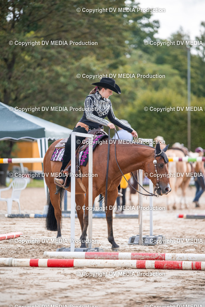 ZS3_4640 | dv-media-shop - Realisiert mit Pictrs.com