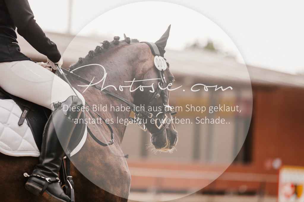 3I6A6357 | Stimmungsvolle Portraits und Reitsportfotografie im Ruhrgebiet und im Münsterland.

Pferdefotografie, Hundefotografie, Tierfotografie, Reportagen, Portraits von Tier und Mensch, Turnierfotografie in Bochum, Recklinghausen, Marl, Haltern am See, Dülmen.. - Realisiert mit Pictrs.com