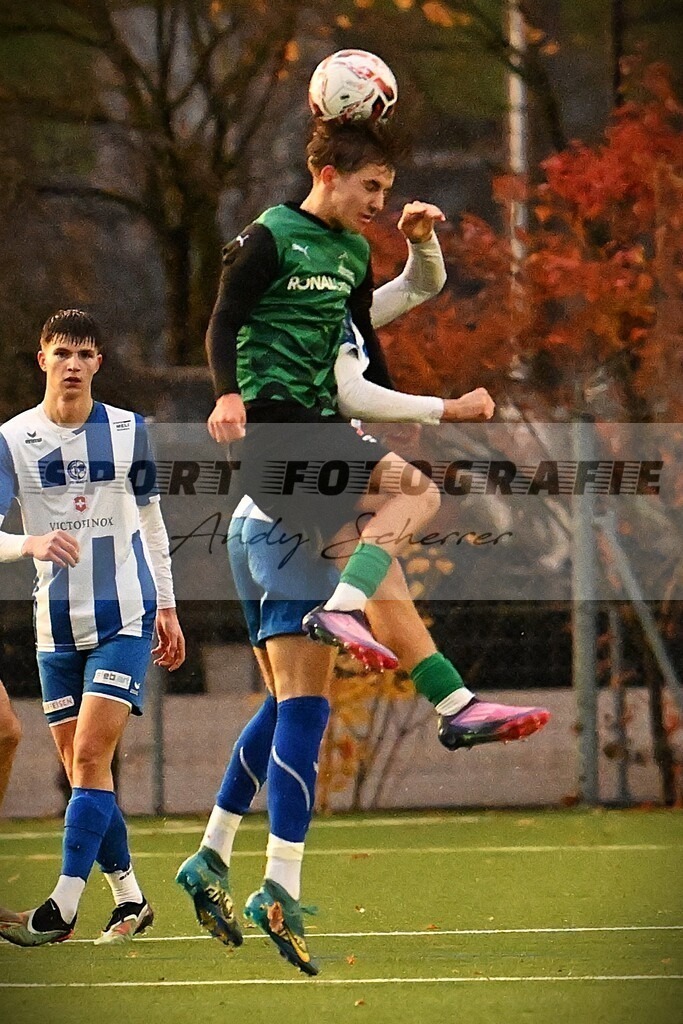 hDSC_2990 | Kaufen Sie Sportbilder im Onlineshop von Andy Scherrer Sportfotografie. Faszinierende Bilder von Sportevents aus der ganzen Schweiz. Fussball, Frauenfussball, Unihockey, Handball, Schwingen und weiteren Sportarten. - Realisiert mit Pictrs.com