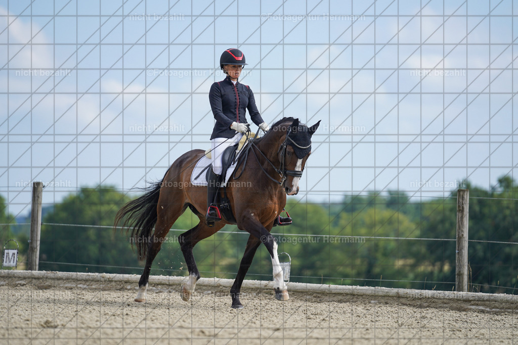 20230826-FAH05985 | Forstinning, 2023, Dressurturnier, Turniersportbilder, Turnierfotografen Bayern, Fotoagentur Herrmann, Reitsportfotografie, Turnierbilder