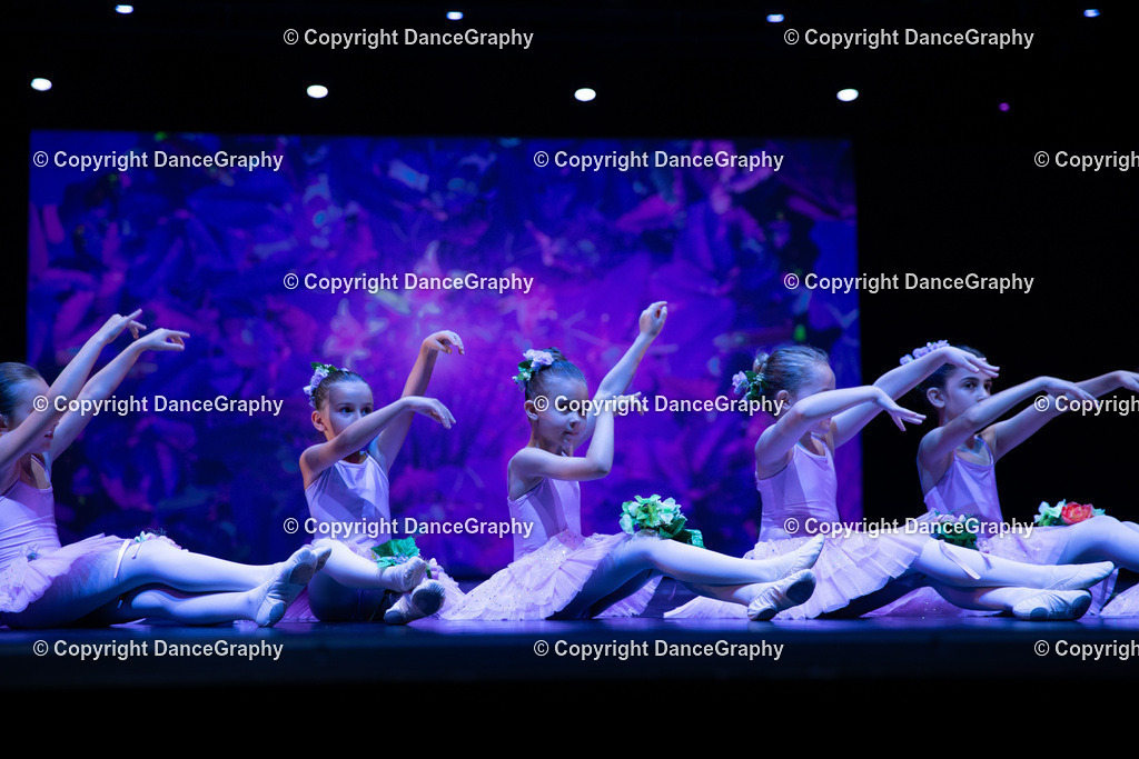 GPHY4877 | DanceGraphy - Realisiert mit Pictrs.com