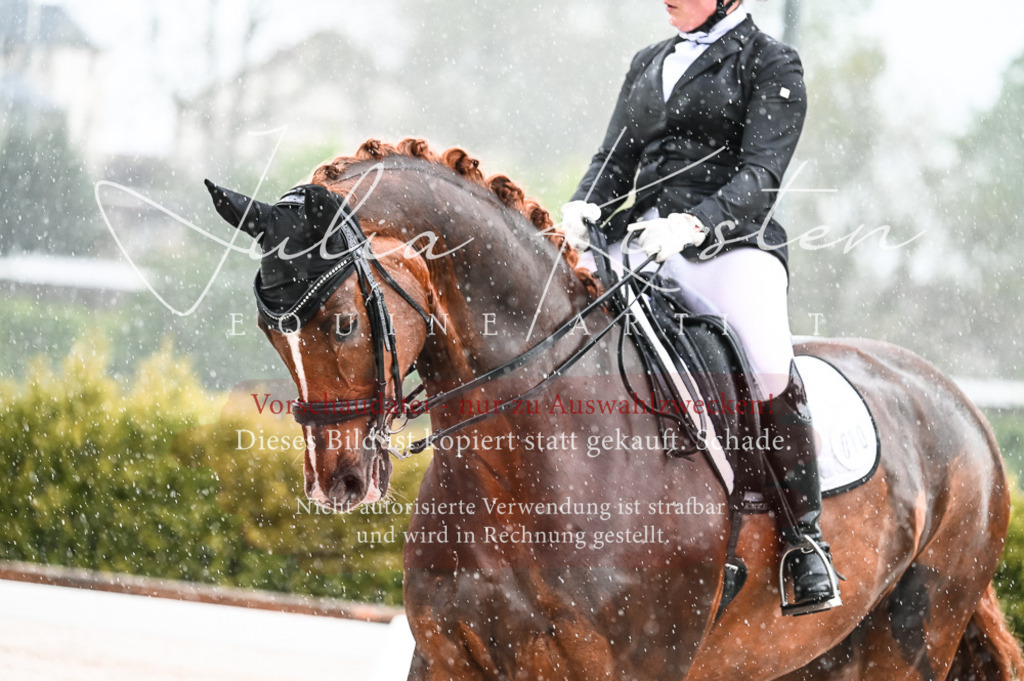DSC_4105 | Pferde- und Turnierfotografie in Westsachsen. Pferdeportraits, Auftragszeichnungen und intuitive Kunst.