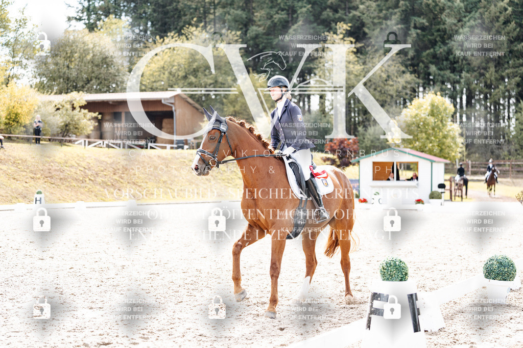 CK900955 | Turnierfotografie Pferdefotografie Trier Rheinland-Pfalz Pferdesport Reitsport Tierfotografie Sportfotografie Pferdevideo Pferdevideografie Equestrianvideography equestrianphotography  - Realisiert mit Pictrs.com