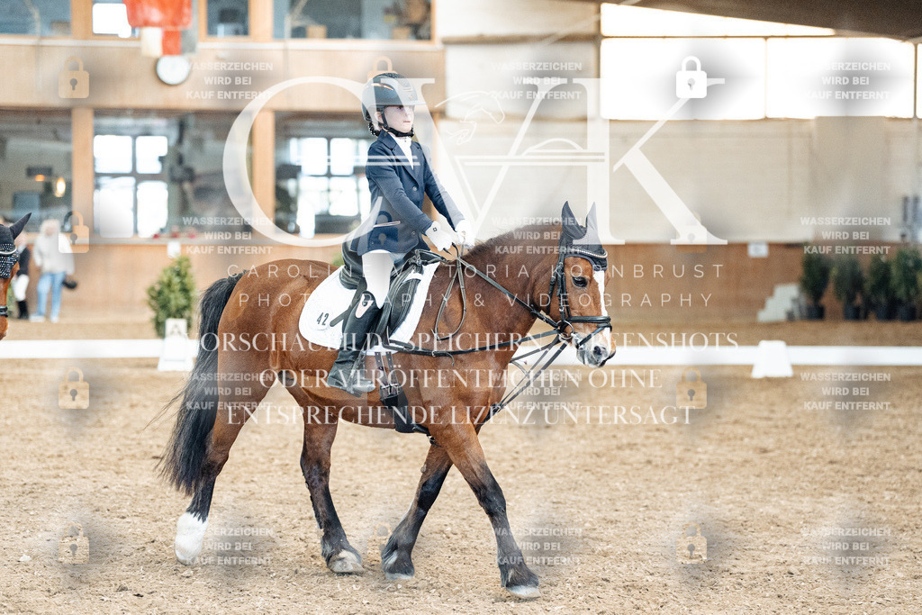 CK900618 | Turnierfotografie Pferdefotografie Trier Rheinland-Pfalz Pferdesport Reitsport Tierfotografie Sportfotografie Pferdevideo Pferdevideografie Equestrianvideography equestrianphotography  - Realisiert mit Pictrs.com