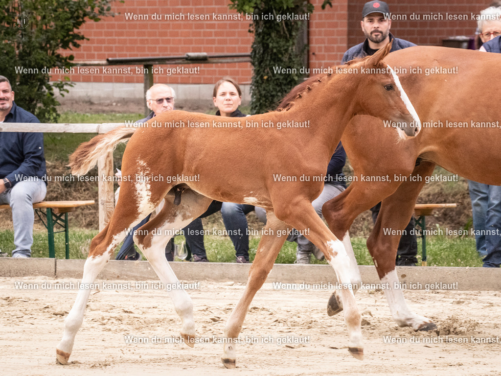 A10I9723 | photographylinaismer - Realisiert mit Pictrs.com