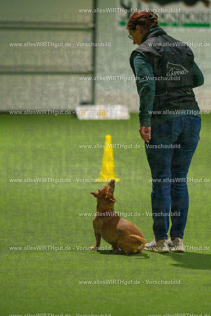 7R508666 | Professionelle Tierfotografie in Mönchengladbach von Daniel Wirth (allesWIRTHgut). Liebevolle & natürliche Bilder von Hunden & Katzen für unvergessliche Erinnerungen.