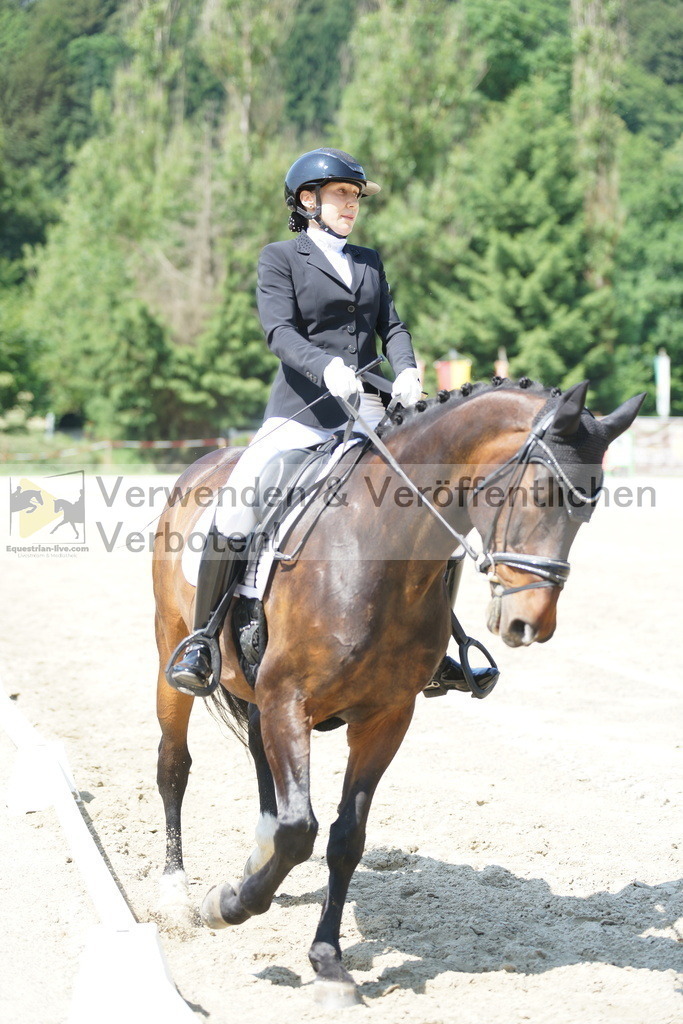 DSC01603 | equestrian-live-com