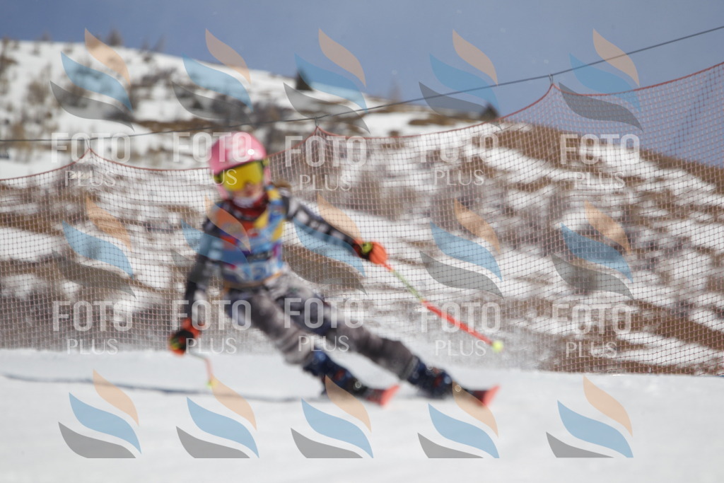 _U3G0689 | holidayphoto