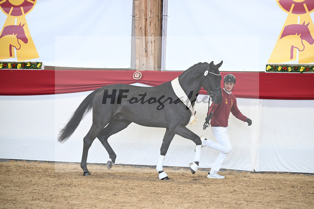 Kat.-Nr. 7 v. Chacco-Chacco_Unterstein_2251827 | hf-fotografie - Realisiert mit Pictrs.com